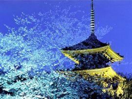 ����Υ饤�ȥ��åפʤɼ�ǯ�ؤμ����ߤ�;ǰ���ʤ�