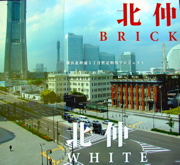 ʸ���ݽѳ�ư�ο�����������BRICK������WHITE�׻�ư