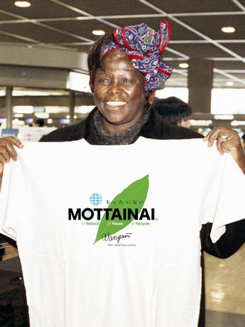�Ķ����������ڡ����ơ��ޤˡ�MOTTAINAI��Ÿ�����ܿ�ʹ��ʪ��
