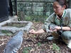 野毛山動物園で公開された希少な鳥「カグー」の赤ちゃんと飼育員