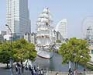 今年1回目の日本丸の総帆展帆