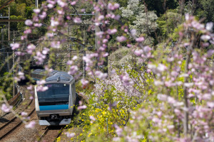 【写真特集】「TRAIN×KANAGAWA」 鉄道をテーマにした写真展
