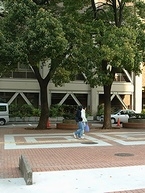 市役所脇の「くすのき広場」