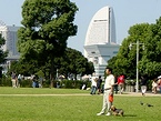 犬の散歩コースに最適の山下公園