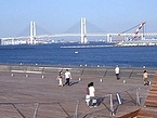 大さん橋から見える風景